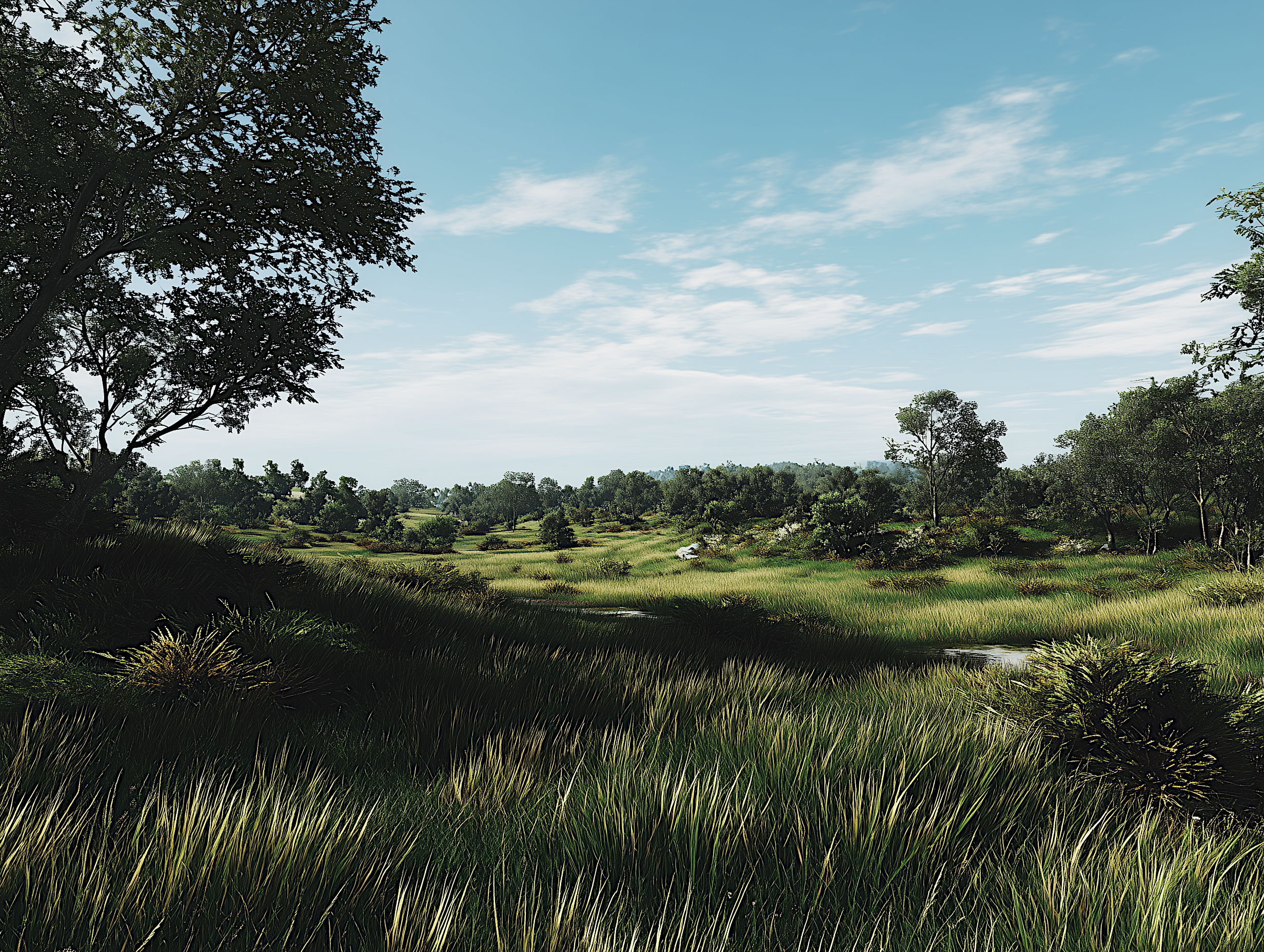 JLA DZIALKA - INTRO - JLA COM PL